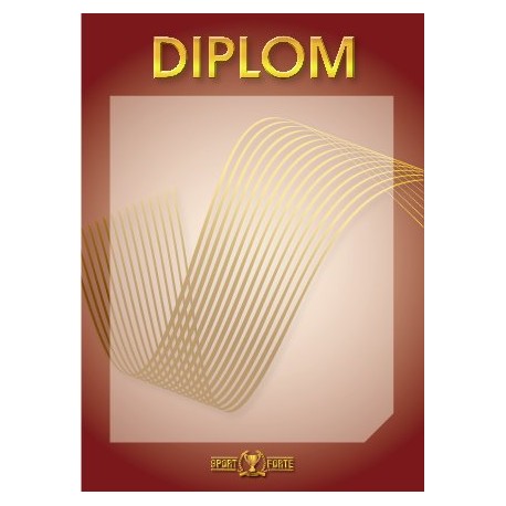 diplom 101