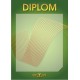 diplom 104