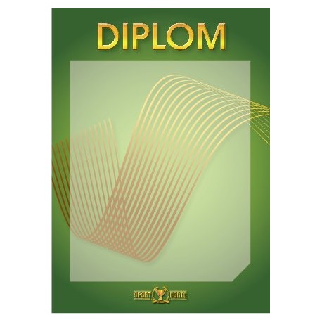 diplom 104