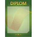 diplom 104